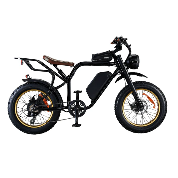Electric Bikes 